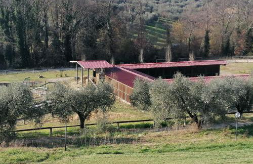 Le Vecchie Scuderie - Foto 29