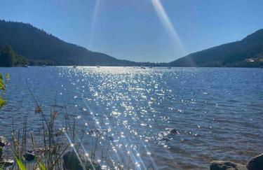 Au Temps Passé - Photo 15