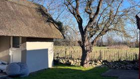 Reethuus Fehmarn with fireplace and sauna - Foto 4