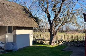 Reethuus Fehmarn with fireplace and sauna - Foto 4