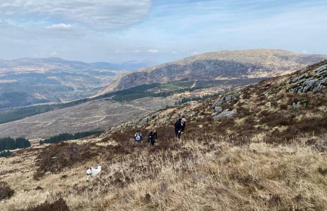 1 Bed Cabin in the Magical Galloway Forest Park - Photo 15