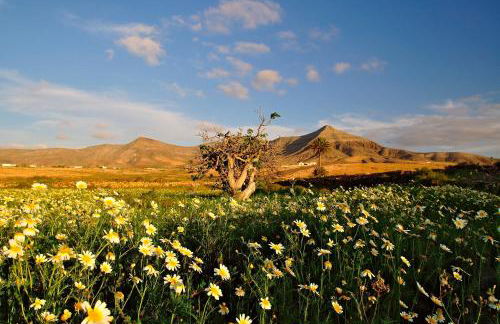 Sailor Lovers - Jacuzzi Fuerteventura - Photo 30