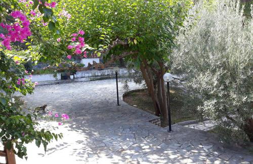 Σπίτι σε ελαιώνα, house in an olive grove - Foto 1