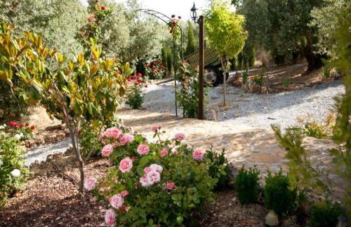 Casas Rurales Cazorla-Alcón - Foto 60