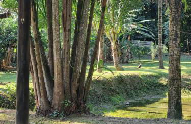 Sítio Refúgio do Lobo - Foto 34