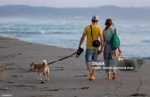 Deltafamily ¡ barbacoa,piscina, wifi Chromecast !! - Foto 38