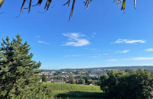 TINY-HOUSE mit Alpen- Stadt- und Poolblick , WLAN - Foto 10