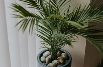 BlueSeaView Apartment with fabulous sea views - Foto 15