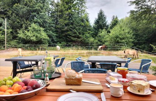 Gite les Baudy - group for 20 people - Foto 7