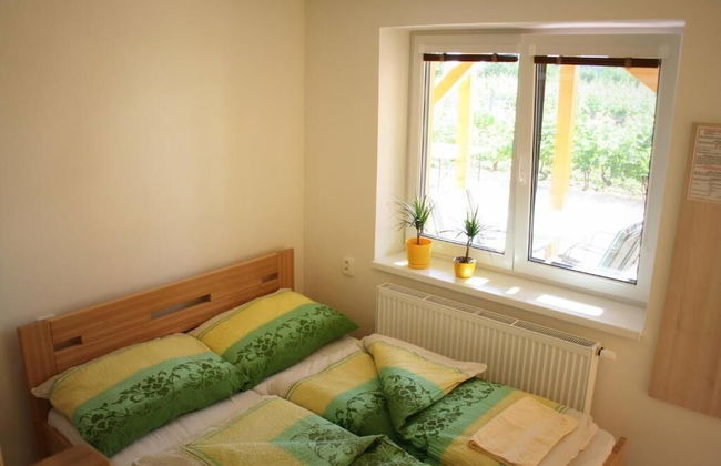 PENZION POD PALAVU - Photo 9