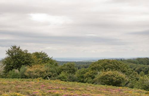 Heathfield - Foto 36