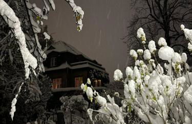Ferienwohnung Unterm Tulpenbaum - Foto 27