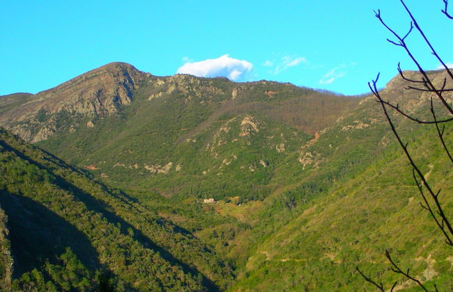 Hillside Retreat Near 5 Terre - Foto 25