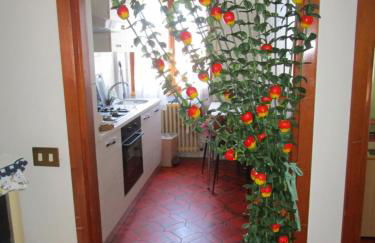 Rainbow House - Foto 16