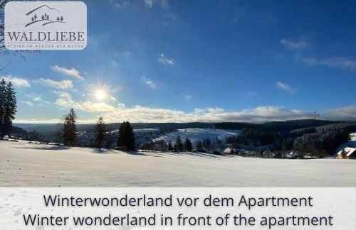 Exklusives 5-Sterne Apartment Waldliebe mit Indoor-Pool, Sauna, top Lage und Ausblick in die Natur, Hunde willkommen - Foto 46