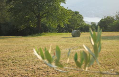 Agriturismo Deviscio - Photo 8