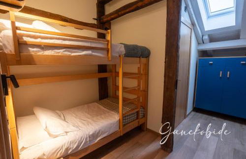 Ganekobide - Foto 13