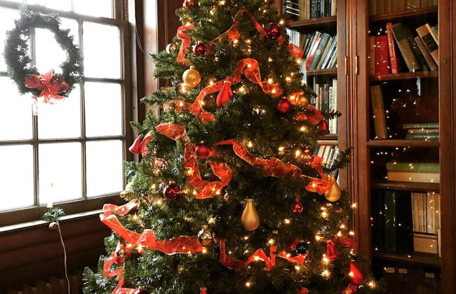 Crow's Nest Newport - Foto 5