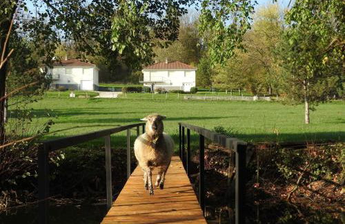 Maison de caractère à Gy avec parking et Wifi - FR-1-583-448 - Foto 36