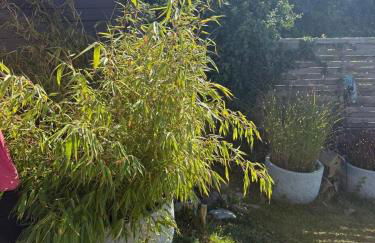 Herrmannsruh - Foto 32