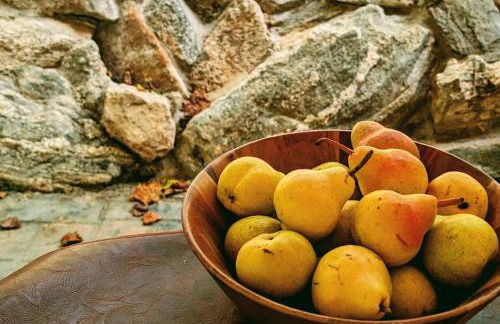 River Retreat Cabin - Living Water Farm - Foto 14