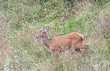 La Casina del Salice - Foto 76