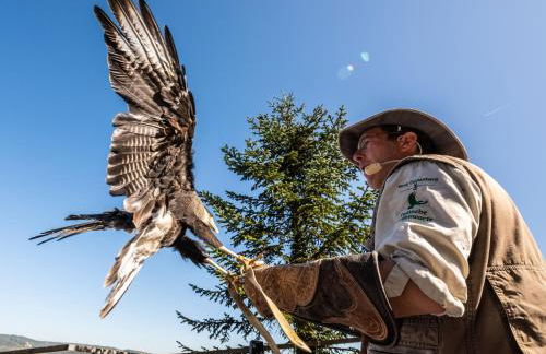 Wohnen auf der Ritterburg - Foto 37