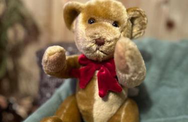 Olivia-Leigh Cottage - Foto 57