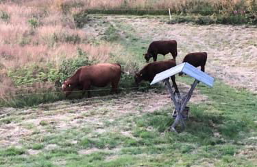 Appartement Max - Foto 19