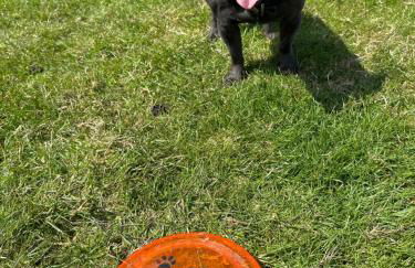 Lodge Cabin with Fabulous Views - Farm Holiday - Foto 42