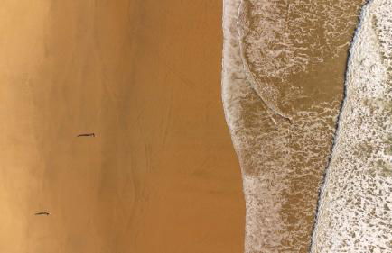 Sun & Sea Golf House - Foto 48