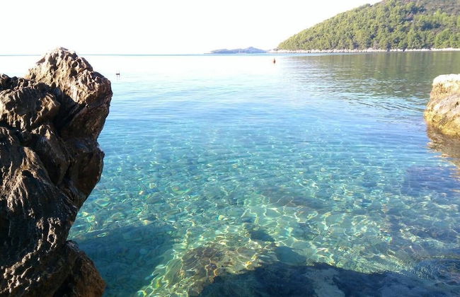 Apartmani Ančila - Foto 22