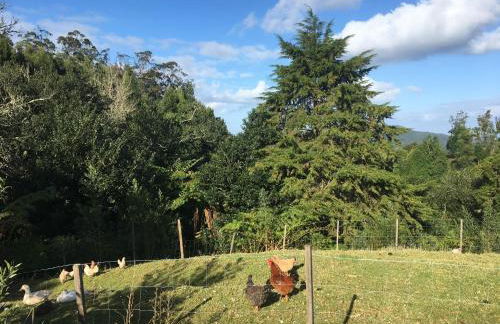 Bio Quinta do Pantano, Agro Turismo - Foto 31