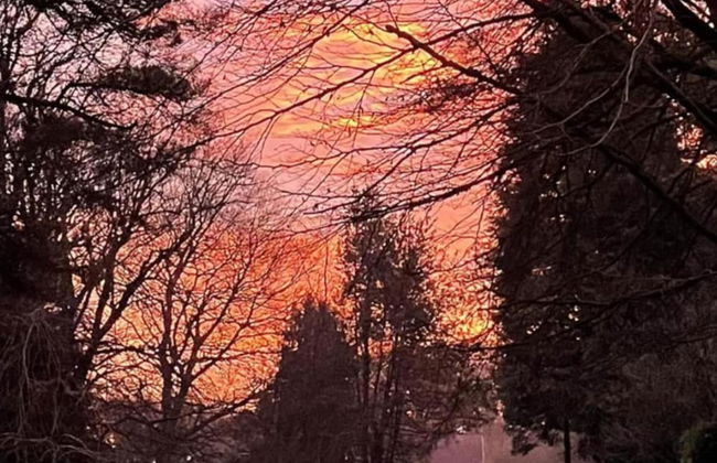 Studio/lickey Hills/near Attractions/garden/petok - Foto 11