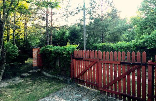 Dom letniskowy w Borach Tucholskich - Foto 6