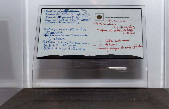 Strawberry Field Entrance Ticket - Foto 7