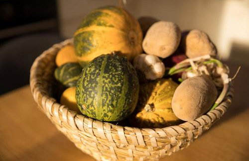 Villa Stipanovi Dvori - Foto 43