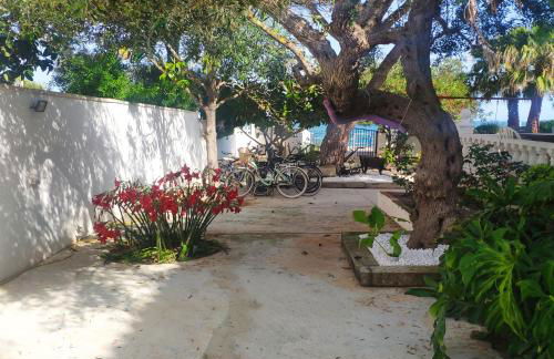 Cala Llanetes - Foto 37