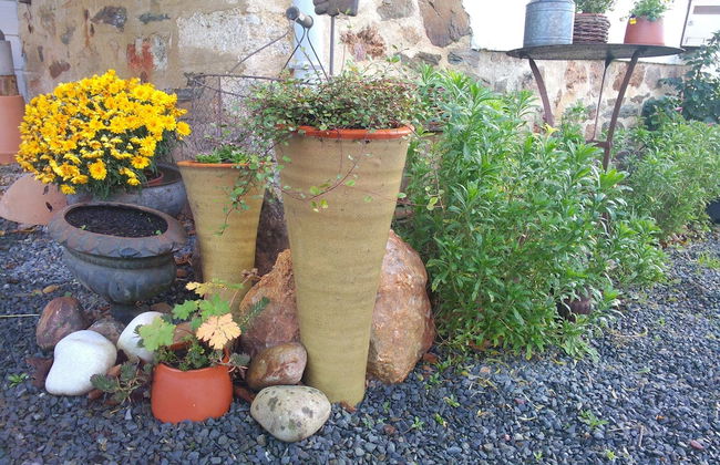 Entre Ciel et Marais - Foto 32