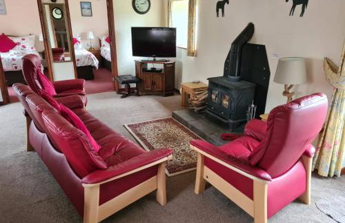 Ddol Cottage Traditional Coastal cottage nr Llangrannog & New Quay with Donkeys - Photo 2