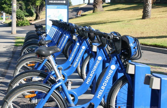 Quest on Dorcas - Foto 32