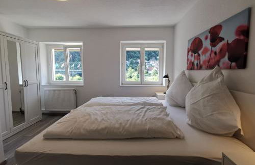 Ferienwohnungen Flussufer - Neckargemünd Altstadt - Foto 36