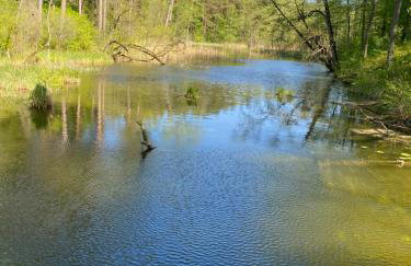 Sosenkowe Zacisze - Foto 8