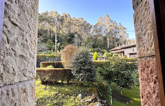 La Nozal de la Peña - Foto 25