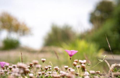 Case Vacanze Il Marchetto - Foto 31
