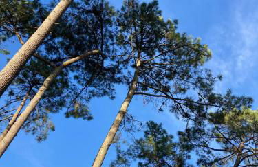 Family Home between Sea and Forest - Foto 22