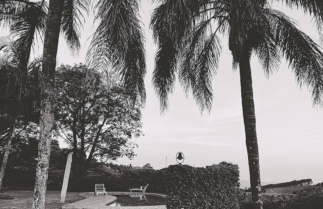 Sherwood's Country House - Foto 48