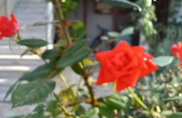 Villetta con giardino e parcheggio coperto - Foto 33