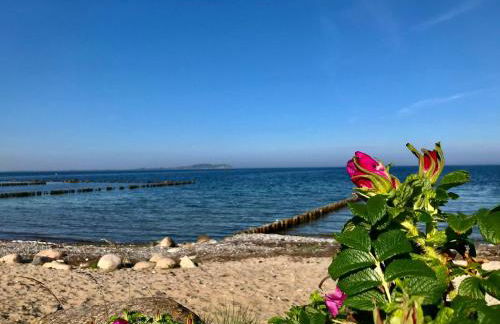 modernes Ferienhaus mit eigener Terrasse und kleinem Garten - Ferienhaus Liva - Photo 24