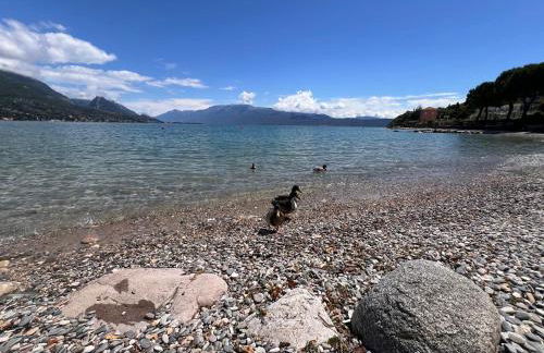 La Finestra Sul Garda DREAMING HOLIDAYS - Foto 52